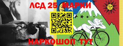 стаф Тула