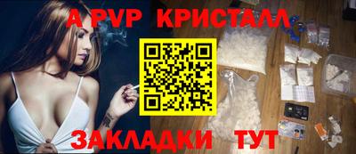 стаф Тула