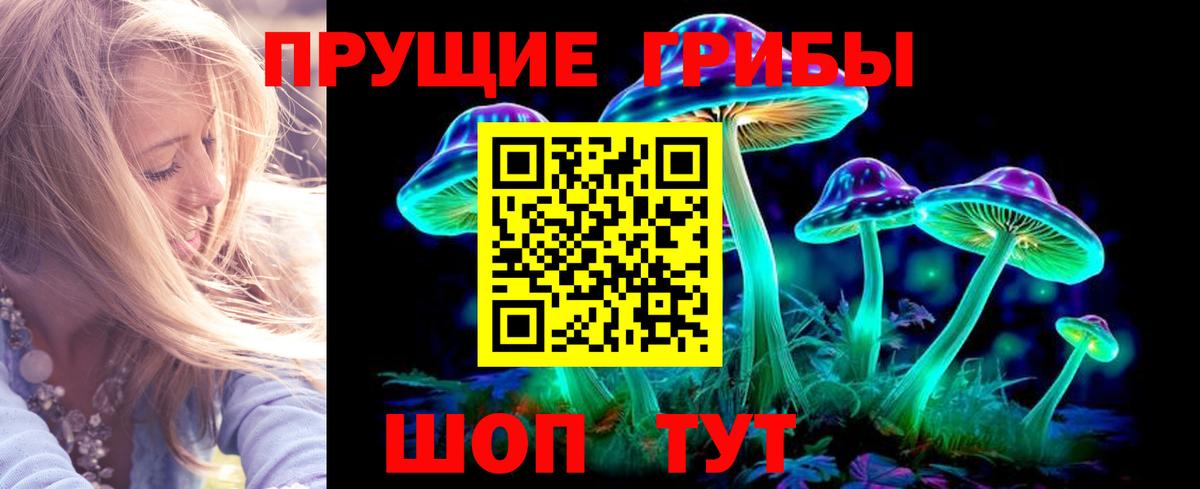 Псилоцибиновые грибы Psilocybe Новоуральск