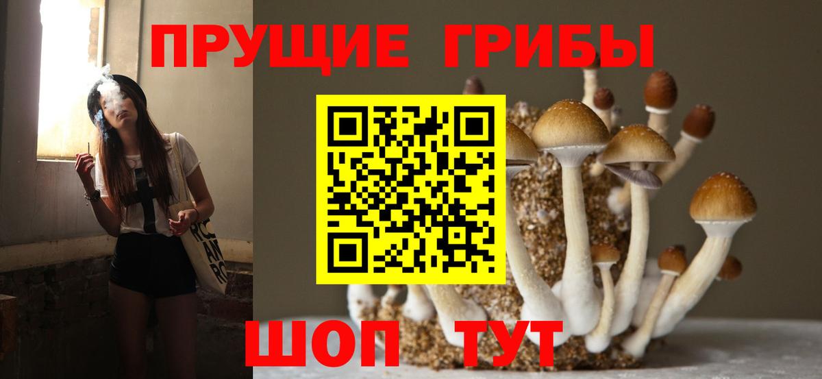 Новоуральск  Галлюциногенные грибы Magic Shrooms  Вход с VPN 